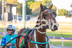 All-Out-Of-Aces_17-02-2026_WIN_Cloucester-Park_4__14