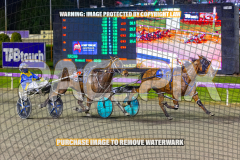 RACE 4 - Alta Tribute
