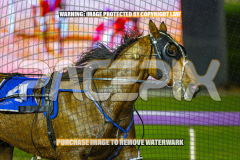 2026_Pacepix_GP07082026_Race4_AltaTribute_WIN_WEB-11