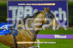2026_Pacepix_GP07082026_Race4_AltaTribute_WIN_WEB-12