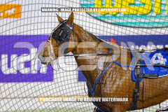2026_Pacepix_GP07082026_Race4_AltaTribute_WIN_WEB-15