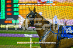 2026_Pacepix_GP07082026_Race4_AltaTribute_WIN_WEB-17