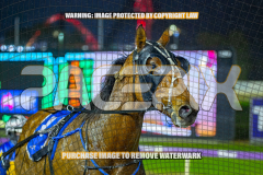 2026_Pacepix_GP07082026_Race4_AltaTribute_WIN_WEB-19