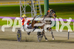 RACE 4 - American Monarch