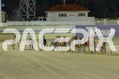 2025_PACEPIX_GP22042025_Race4_AmericanMonarch_WIN_WEB-1