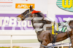 2025_PACEPIX_GP22042025_Race4_AmericanMonarch_WIN_WEB-8
