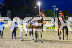 2025_PACEPIX_GP24102025_Race4_ArmaXfactor_WIN_WEB-15