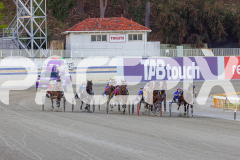 2025_PACEPIX_GP11112025_RACE4_AtlanticGem_WIN_WEB-1