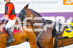 2025_PACEPIX_GP11112025_RACE4_AtlanticGem_WIN_WEB-16