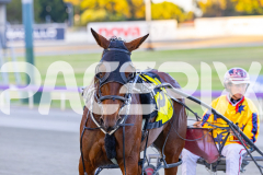 2025_PACEPIX_GP11112025_RACE4_AtlanticGem_WIN_WEB-18