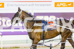 2025_PACEPIX_GP19122025_RACE4_BetterEclipse_WIN_WEB-18