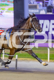 2025_PACEPIX_GP19122025_RACE4_BetterEclipse_WIN_WEB-4