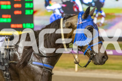 RACE 4 - Bettor Arcade