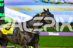 2026_PACEPIX_GP03072026_Race4_BettorsPride_WIN_WEB-10