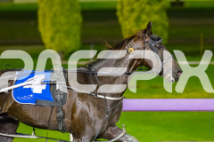 2026_PACEPIX_GP19062026_Race4_BettorsPride_WIN_WEB-11
