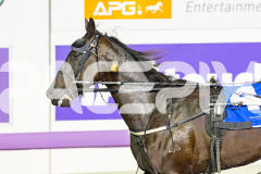 2026_PACEPIX_GP19062026_Race4_BettorsPride_WIN_WEB-13