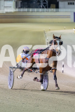 2025_PACEPIX_GP31122025_RACE4_BlazeAway_WIN_WEB-1