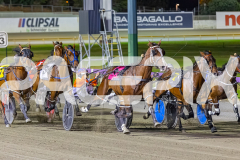 2025_PACEPIX_GP31122025_RACE4_BlazeAway_WIN_WEB-10