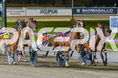2025_PACEPIX_GP31122025_RACE4_BlazeAway_WIN_WEB-16