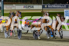 2025_PACEPIX_GP31122025_RACE4_BlazeAway_WIN_WEB-17