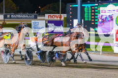 2025_PACEPIX_GP31122025_RACE4_BlazeAway_WIN_WEB-18