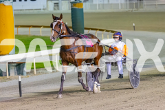 2025_PACEPIX_GP31122025_RACE4_BlazeAway_WIN_WEB-23