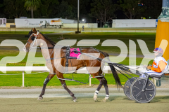 2025_PACEPIX_GP31122025_RACE4_BlazeAway_WIN_WEB-27