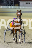 2025_PACEPIX_GP31122025_RACE4_BlazeAway_WIN_WEB-3