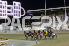 2025_PACEPIX_GP31122025_RACE4_BlazeAway_WIN_WEB-6