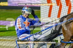 2026_PACEPIX_GP25092026_RACE4_BrickiesDream_WIN_WEB-13
