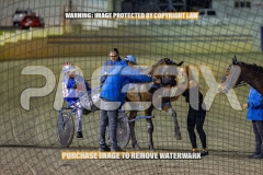 2026_PACEPIX_GP25092026_RACE4_BrickiesDream_WIN_WEB-19