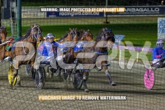 2026_PACEPIX_GP25092026_RACE4_BrickiesDream_WIN_WEB-2