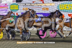2026_PACEPIX_GP25092026_RACE4_BrickiesDream_WIN_WEB-4