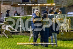2026_PACEPIX_GP25092026_RACE4_BrickiesDream_WIN_WEB-5