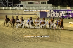 Brickies-Dream_25-09-2026_WIN_Gloucester-Park_4__01