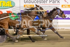 Brickies-Dream_25-09-2026_WIN_Gloucester-Park_4__06