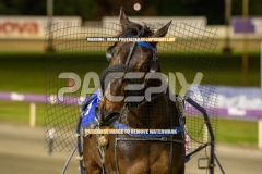 Brickies-Dream_25-09-2026_WIN_Gloucester-Park_4__13