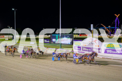 RACE 4 - Brickies Dream