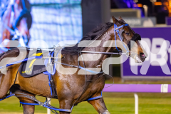 2025_PACEPIX_GP17102025_Race4_BrickiesDream_WIN_WEB-22