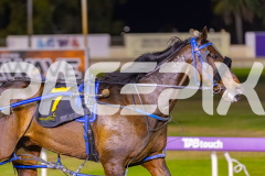 2025_PACEPIX_GP17102025_Race4_BrickiesDream_WIN_WEB-23