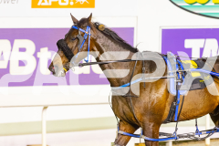 2025_PACEPIX_GP17102025_Race4_BrickiesDream_WIN_WEB-25