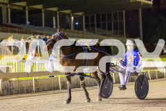 2025_PACEPIX_GP17102025_Race4_BrickiesDream_WIN_WEB-27