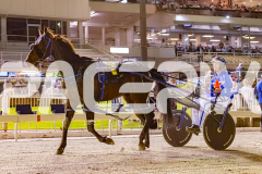 2025_PACEPIX_GP17102025_Race4_BrickiesDream_WIN_WEB-41