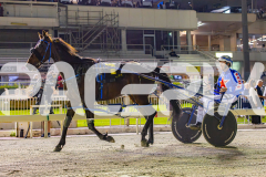 2025_PACEPIX_GP17102025_Race4_BrickiesDream_WIN_WEB-42