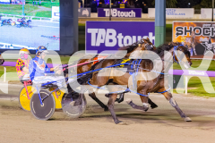 2025_PACEPIX_GP17102025_Race4_BrickiesDream_WIN_WEB-6