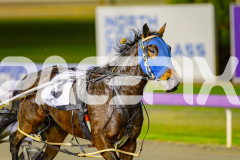 2025_PACEPIX_GP06062025_RACE4_CamsBoulder_WIN_WEB-15