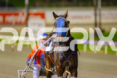 2025_PACEPIX_GP06062025_RACE4_CamsBoulder_WIN_WEB-18