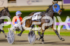 2025_PACEPIX_GP06062025_RACE4_CamsBoulder_WIN_WEB-4