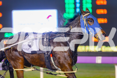 2025_PACEPIX_GP06062025_RACE4_CamsBoulder_WIN_WEB-5
