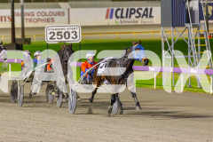 2025_PACEPIX_GP06062025_RACE4_CamsBoulder_WIN_WEB-9